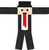 Polo2Skins