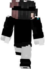 MINECRAFT SOFT