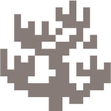 dead_fire_coral
