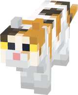 calico cat yellow eyes