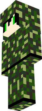 skin