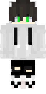 skin minecraft