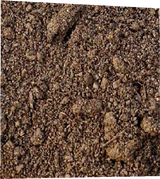 dirt
