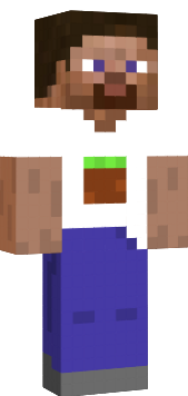Preview of texture: This is Steve