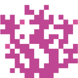 brain_coral