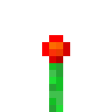 red_tulip