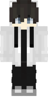 Thomson minecraft