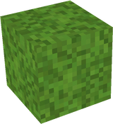 wool as grass