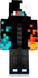 Duality