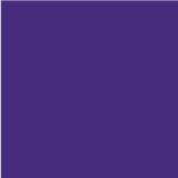 budding_amethyst