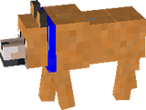 trtr