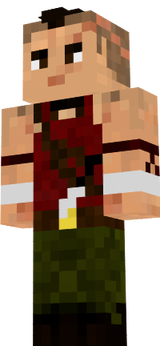 apuchupoi