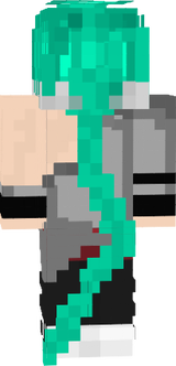 skin minecraft