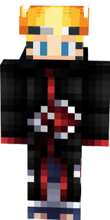 skin 6