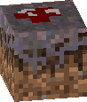 Mushroom Dirt