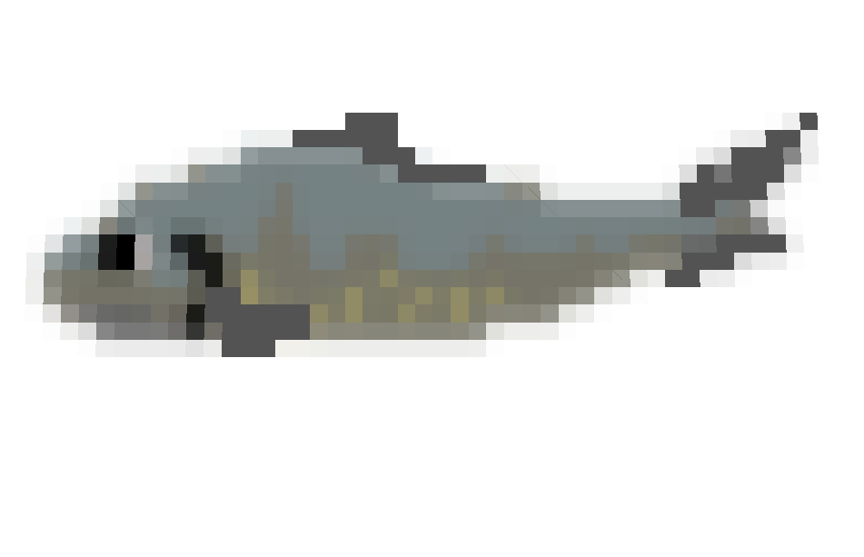 Preview of texture: sardina