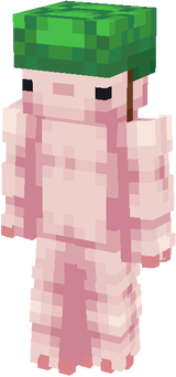 Axololt with turtle shell