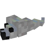 seal