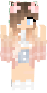 skin de minecrft