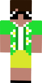 MihaiZz Skin