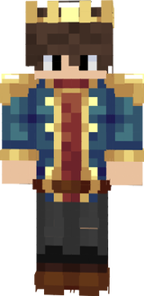gamerfleet skin 