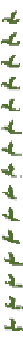 kelp