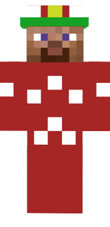 skin2013