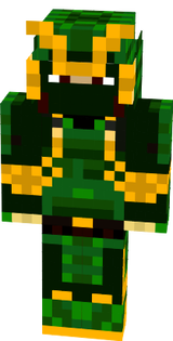 Skin 12