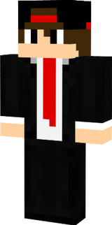 skin 2