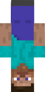 upside down steve