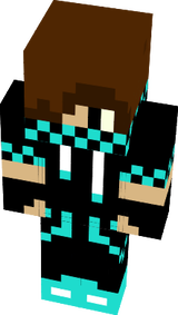 EHSS