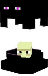 Ender shulker