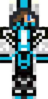 nicninja