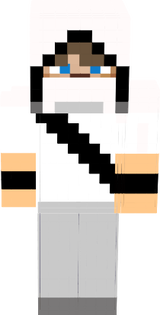 Gamer ninja 