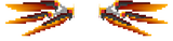 elytra