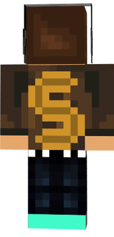 shadowfighter skin