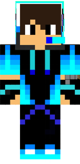 1skin
