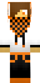 skin minecraft