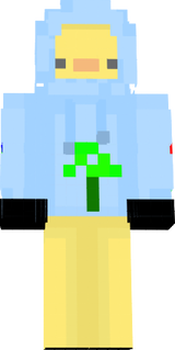 #kaczki Minecraft Skins - NovaSkin