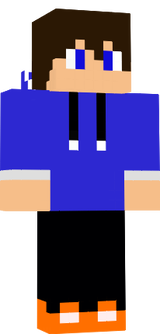 nesvor