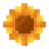 sunflower_front
