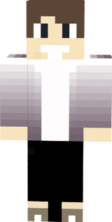 skin de minecraft