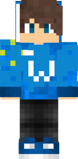 minecraft walmart2