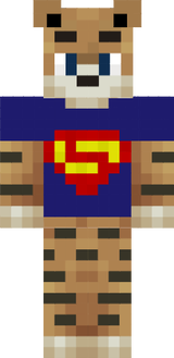 steve
