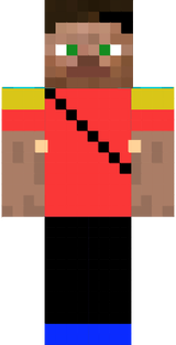 Ninja Steve