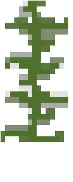 kelp_plant
