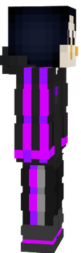 cristmas penguin
