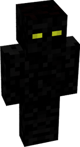 21312