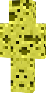 server