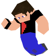 steeve